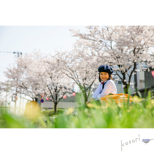 すこしずつ蕾が膨らんできましたね…🌸(桜イベント撮影)